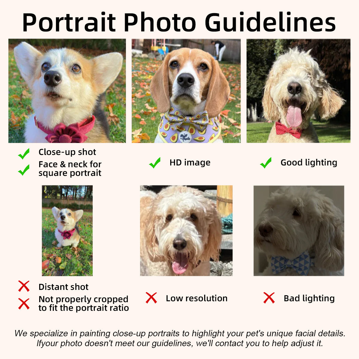 Custom 3D Pet Six-Layer Craftsmanship