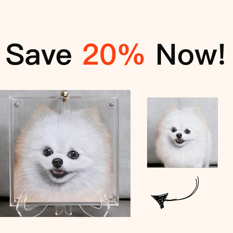 Custom 3D Pet Six-Layer Craftsmanship