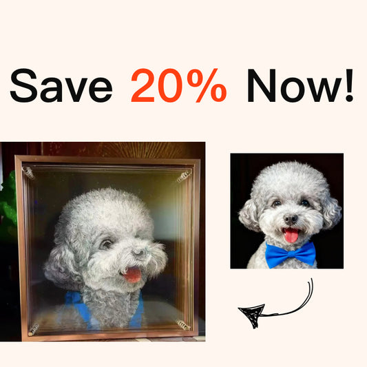 Knife Scratch 3D Pet Portrait