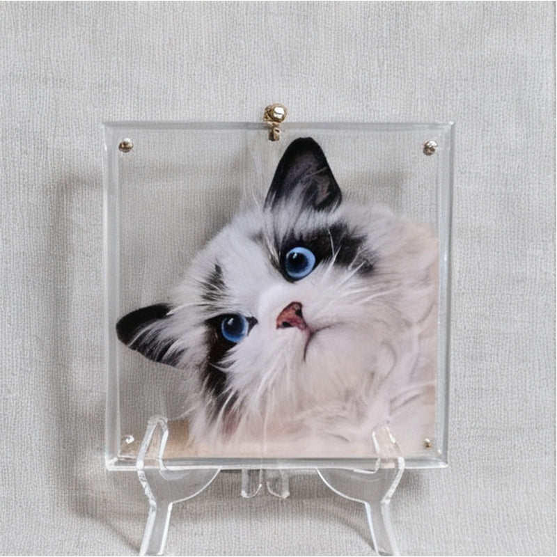 Custom 3D Pet Six-Layer Craftsmanship