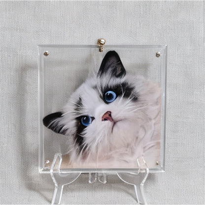 Custom 3D Pet Six-Layer Craftsmanship