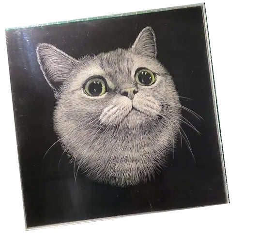 Knife Scratch 3D Pet Portrait