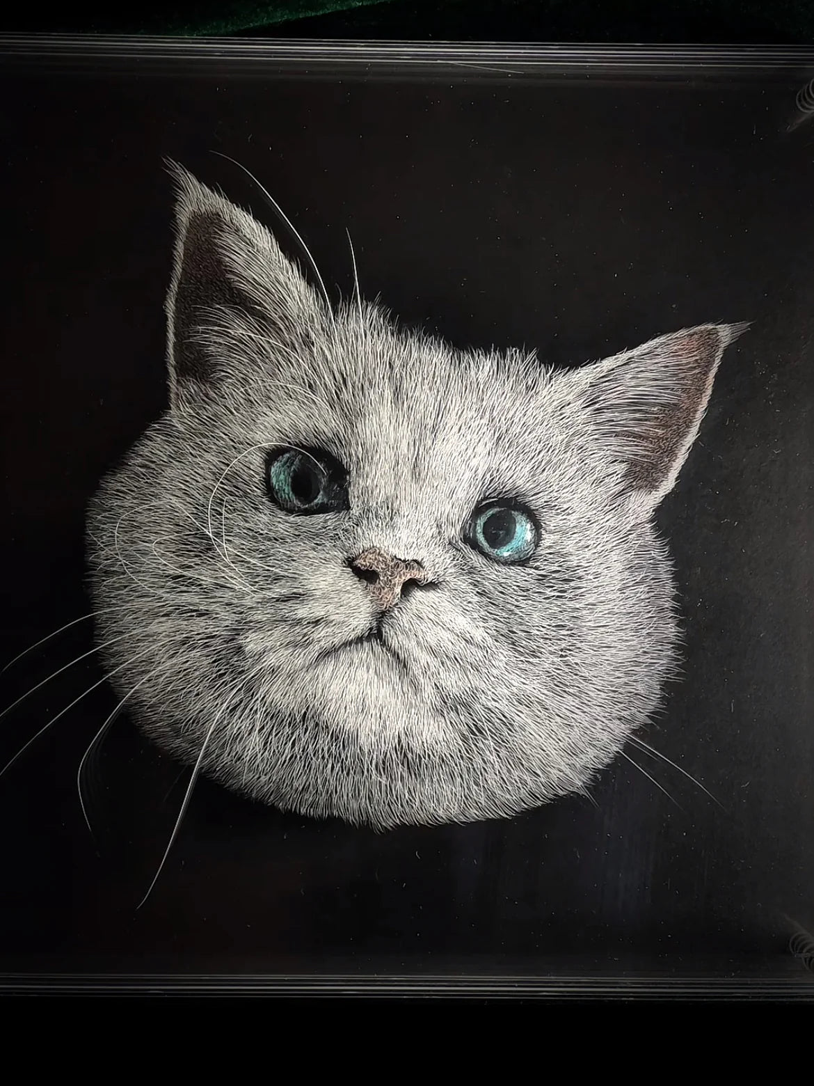 Knife Scratch 3D Pet Portrait
